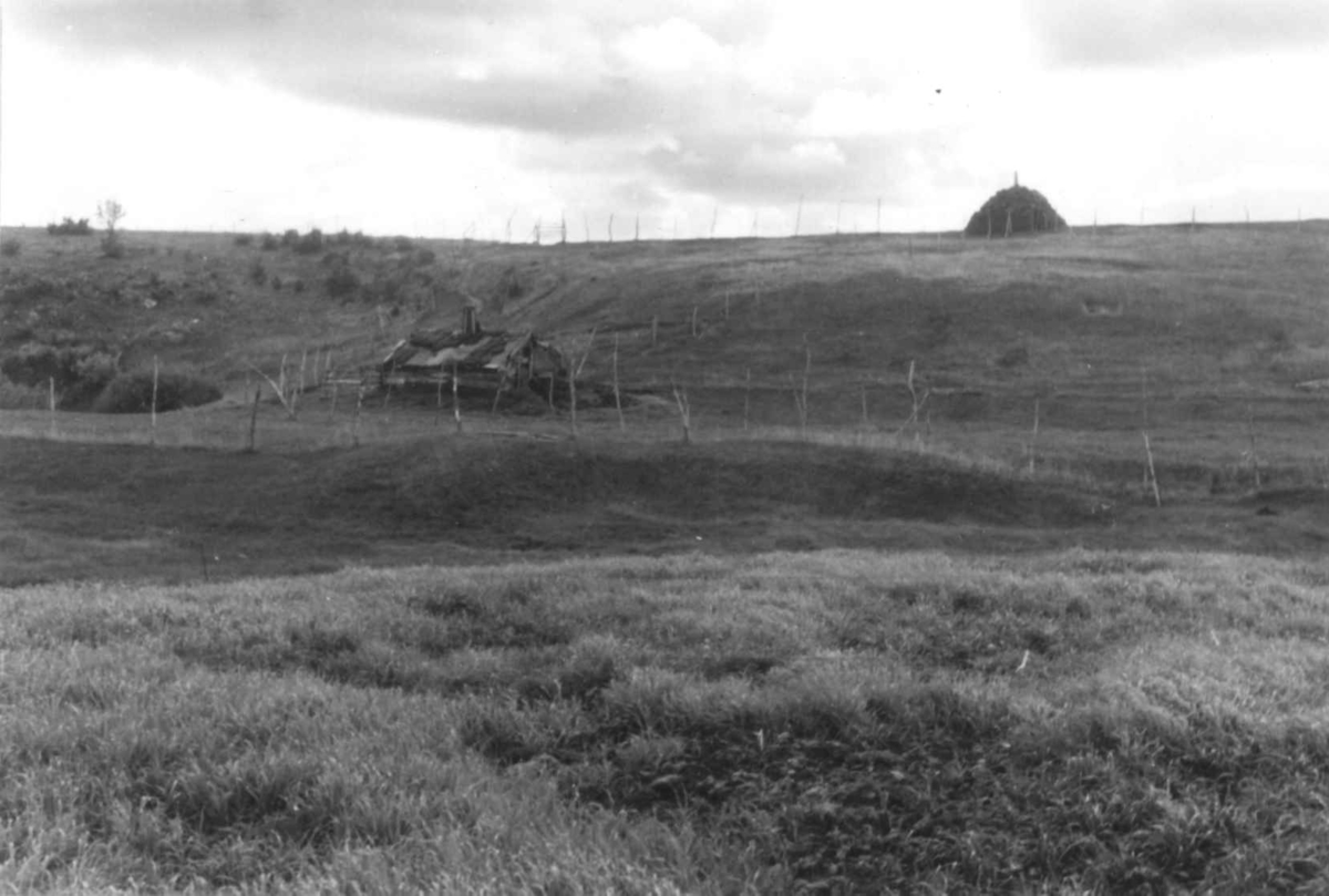 Klokkerklemet, sommerfjøsen på fjellstuen. Avzze 1953.
