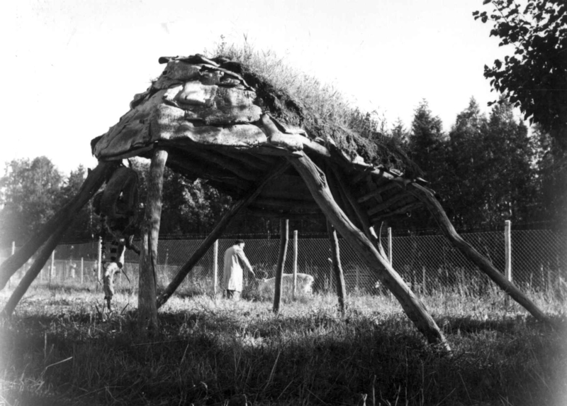 Luopte, et stativ med tak til oppbevaring av ting, her henger en reinsele. Jamtli friluftsmuseum 1956.