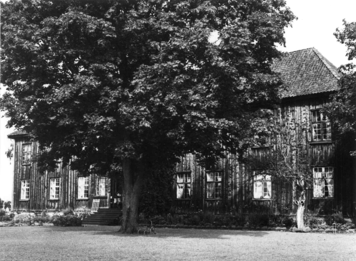 Ringnes, Stange, Hedmark. Hovedhuset fra haven.
Fra dr. Eivind S. Engelstads storgårdsundersøkelser 1956