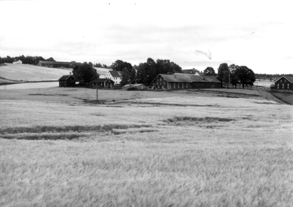 Nordre Såstad, Stange, Hedmark. Bebyggelsen sett fra jordene nedover mot Mjøsa.
Fra dr. Eivind S. Engelstads storgårdsundersøkelser 1957.