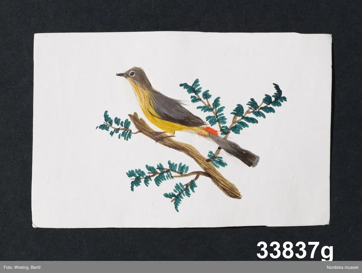 Fågel