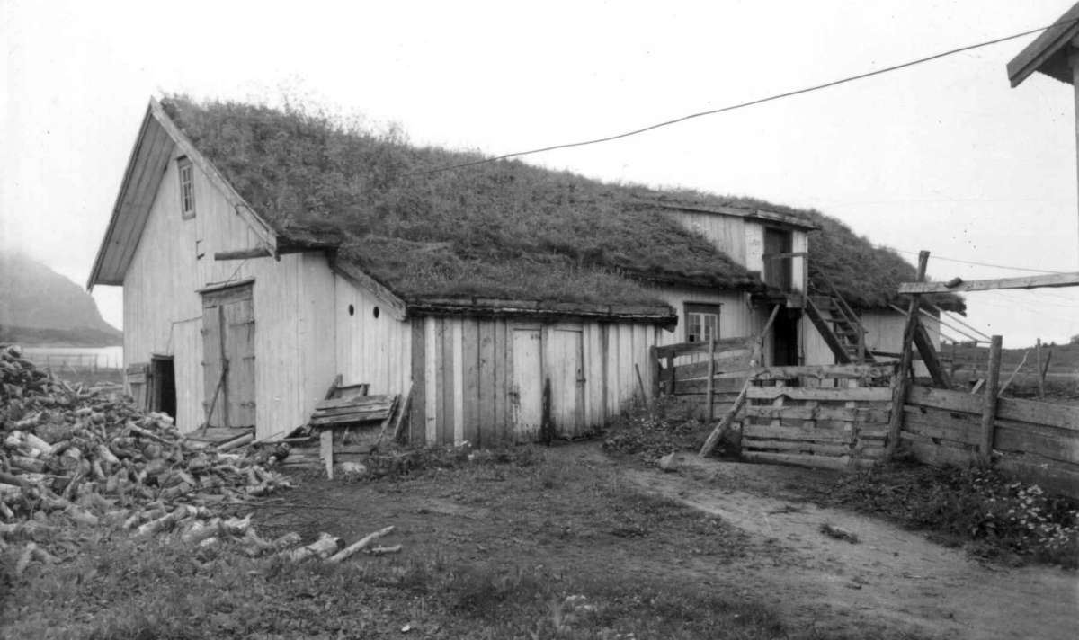 Kjerringoy
Fra dr. Eivind S. Engelstads storgårdsundersøkelser 1954.