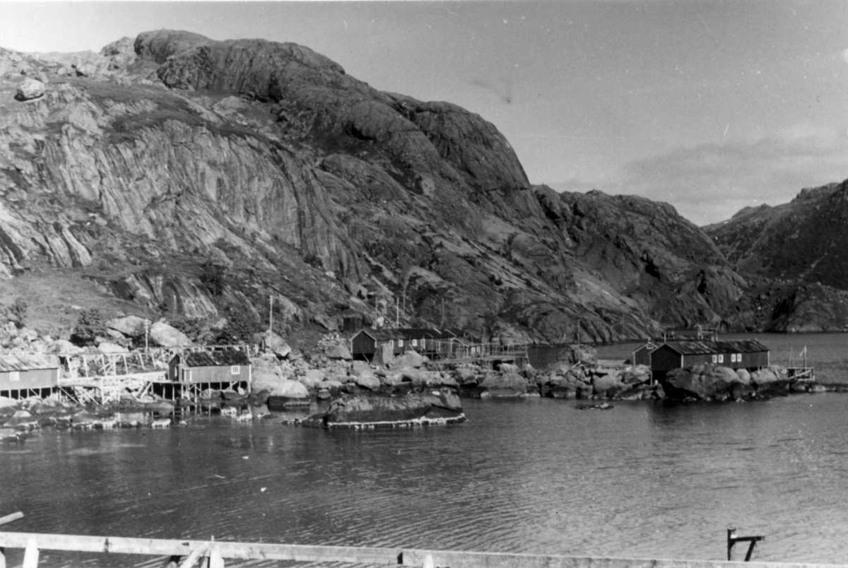 Nusfjord, Flakstad, Nordland. Fra dr. Eivind S. Engelstads storgårdsundersøkelser 1951.