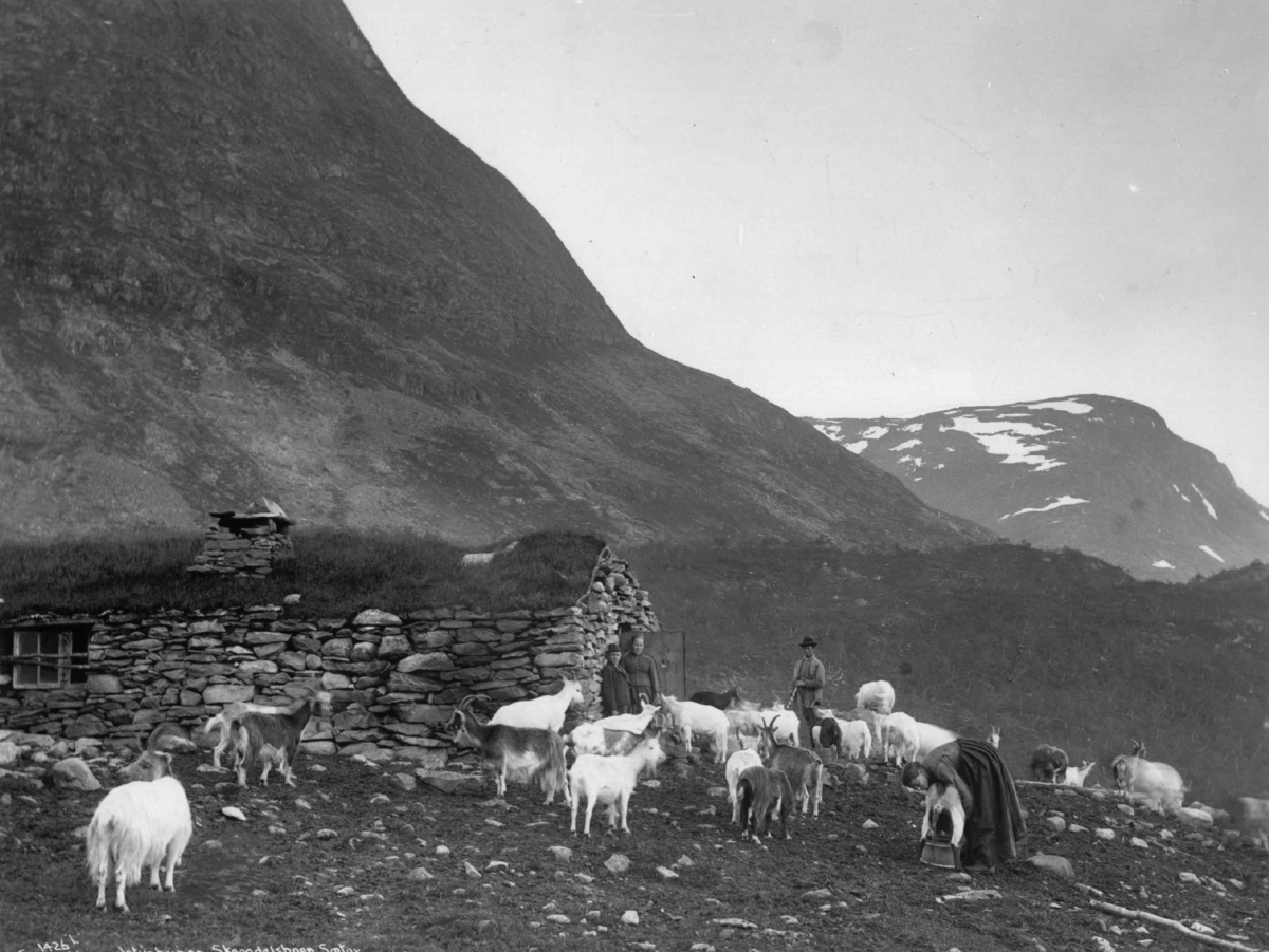 Skogadalsbøen seter