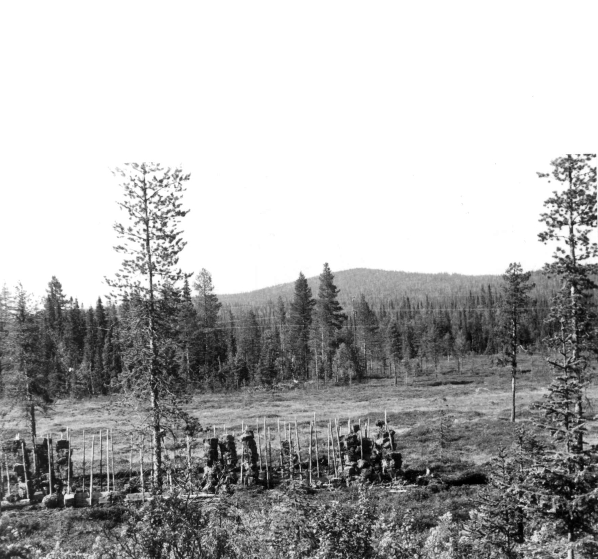 Torvtørk ved Storuman-vassdraget, 1958
