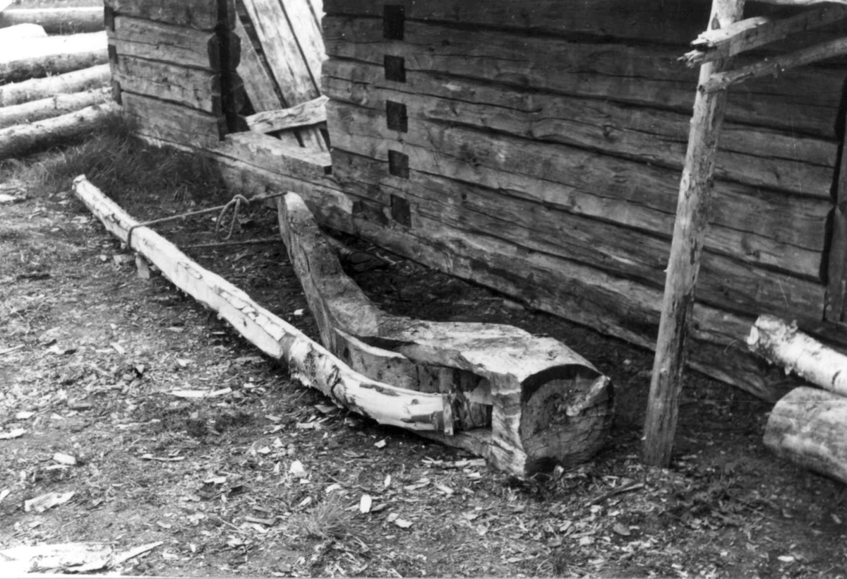 Tilbøying av sledemeie hos Kemivarra 1958.