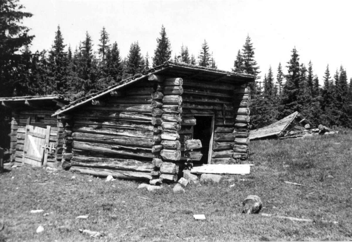 Nordbergsetra, Trysil, Hedmark. Grisehus og bu.