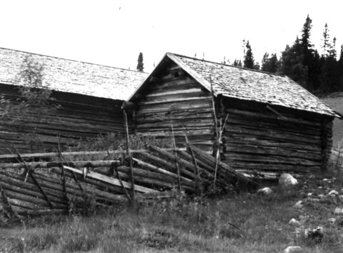 Ravnkleven, Trysil, Hedmark. Kalvehus og sommerfjøs.