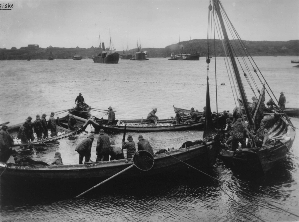 Sildefiske i Vågavågen i Kopervik i Rogaland, antakelig.