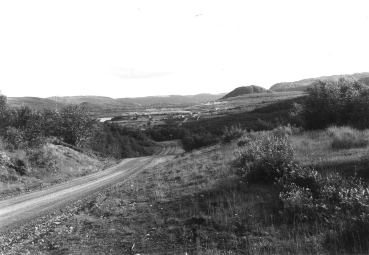 Oversiktsbilde over Bugøyfjord med bebyggelse og veien, 1968.