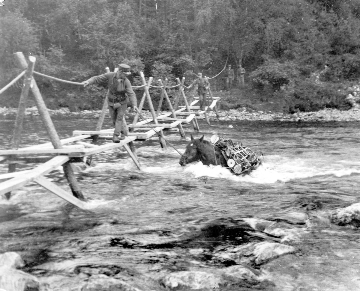 Militærmenn med hest over provisorisk bro over Raundalselva. Hesten har tung bør med telefonmateriell. Voss i Hordaland.