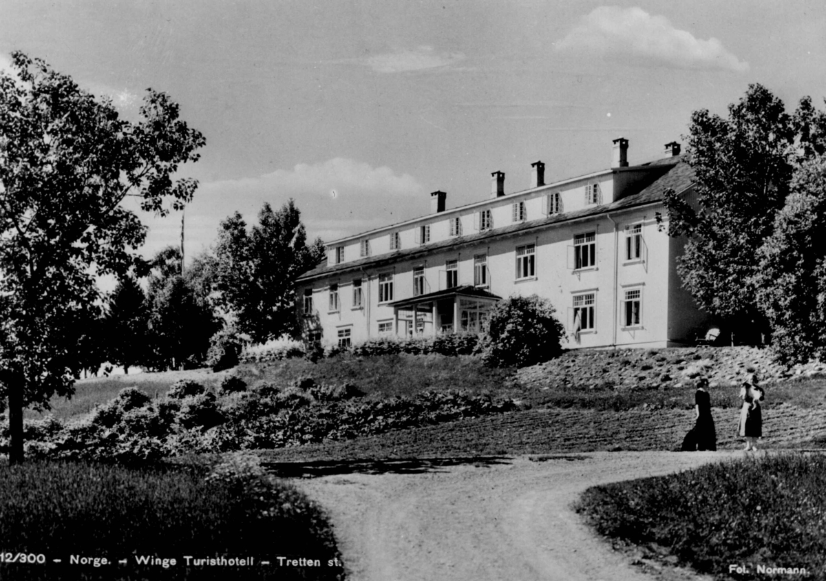 Avfotografert postkort. To kvinner, hvorav en holder en hund, står på veien foran Winge turisthotell.