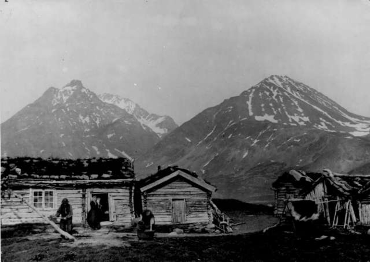 Tre personer arbeider foran en gård i Ulfsfjord, Troms. Laftet bolighus og uthus med torv på taket, i bakgrunnen sees snøkledte fjell.