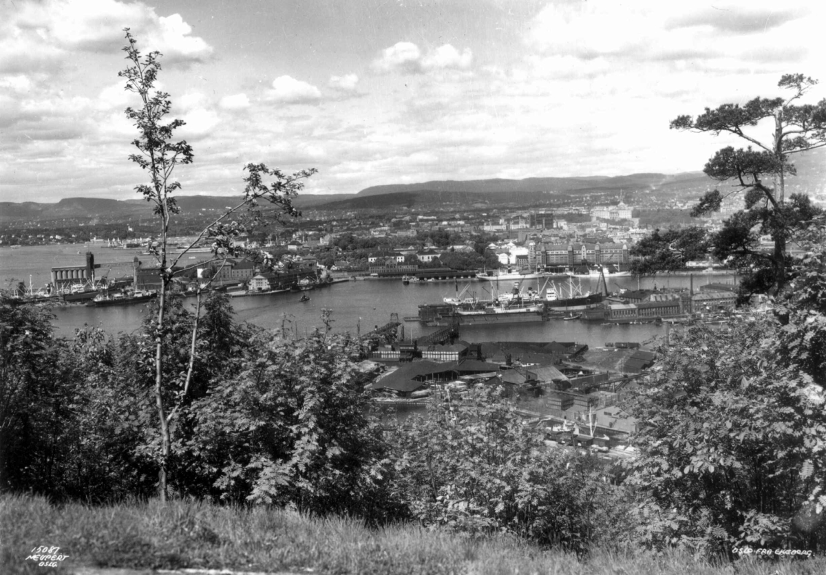 Oslo havn 1936. Utsikt over byen og havna fra Ekeberg. Skip ved kai. Seilbåter på fjorden. Havnelageret ses midt i bildet. Skog og åser i bakgrunnen.