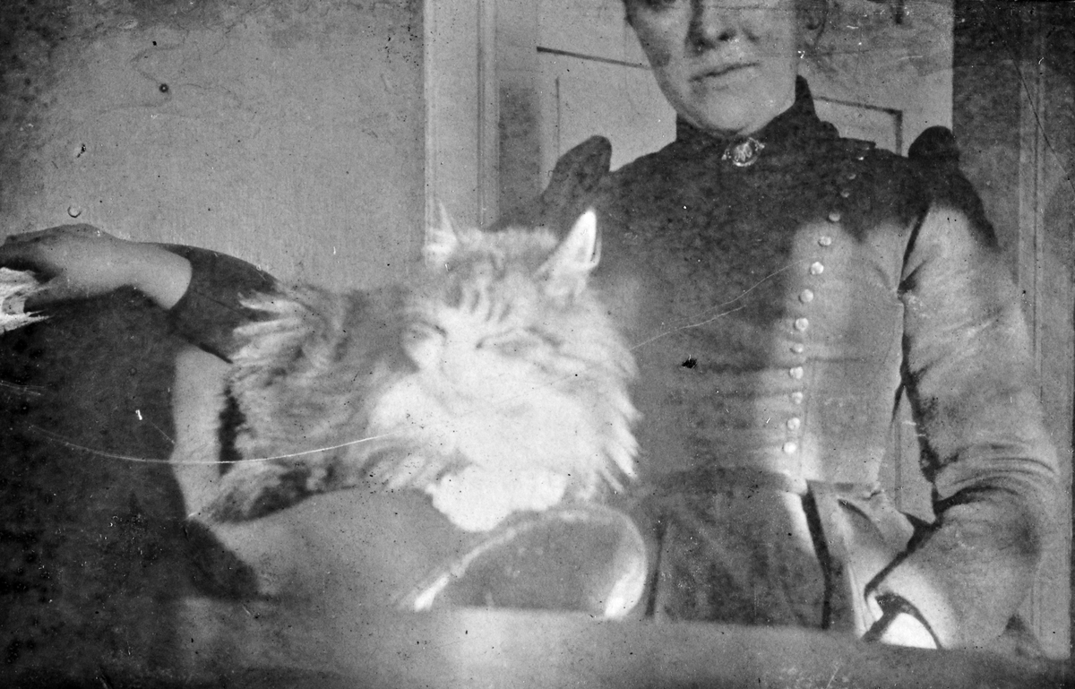 Kvinne med katt i interiør, antatt Lunden gård, Fyresdal, Telemark, muligens én fra Qvislingfamilien.