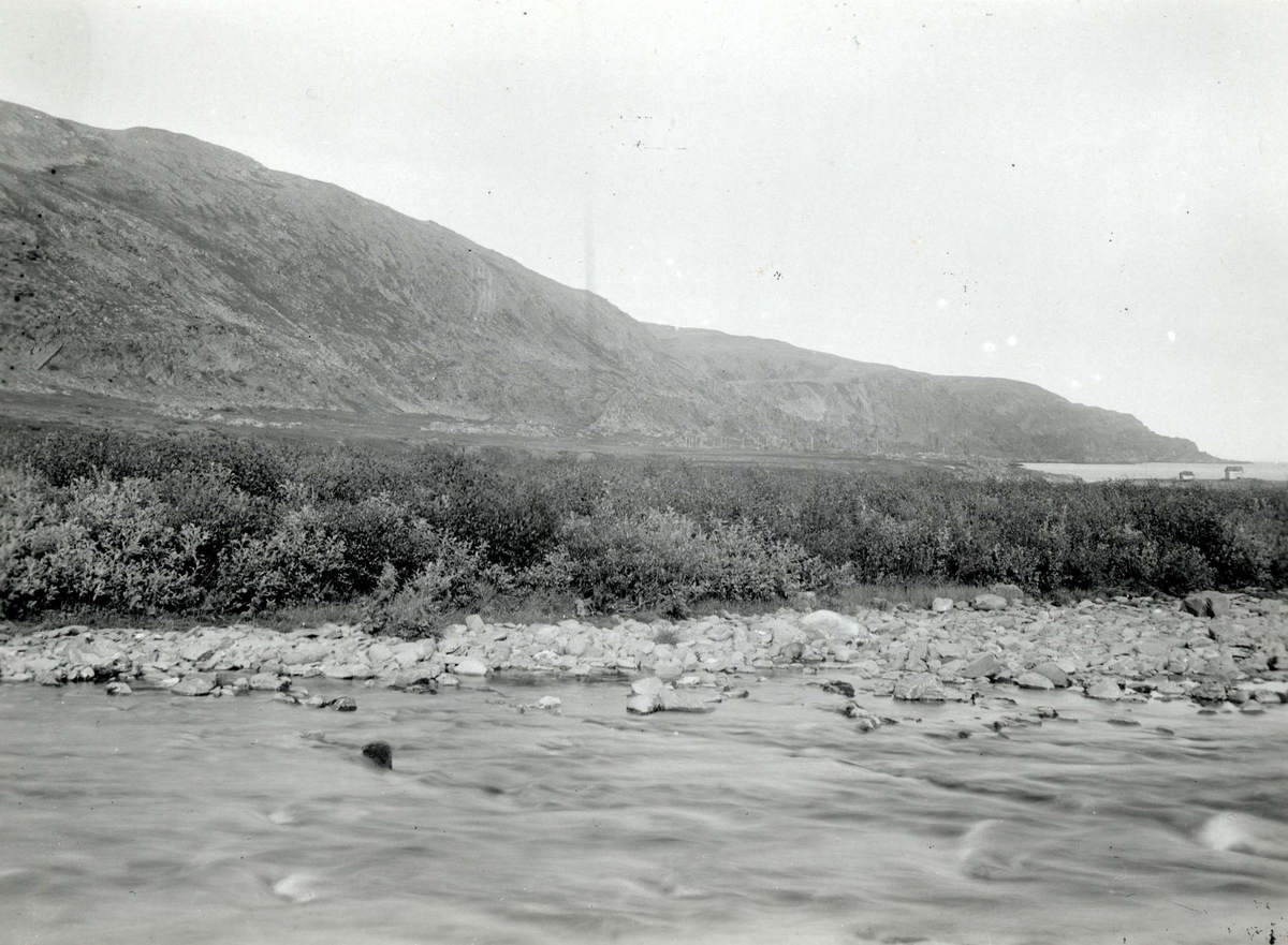 Landskap, Risfjord, Berlevåg. Fjordarm med strandparti, krattskog og fjellside. 
Del av serie fra en forskningsreise i Øst-Finnmark 1909.