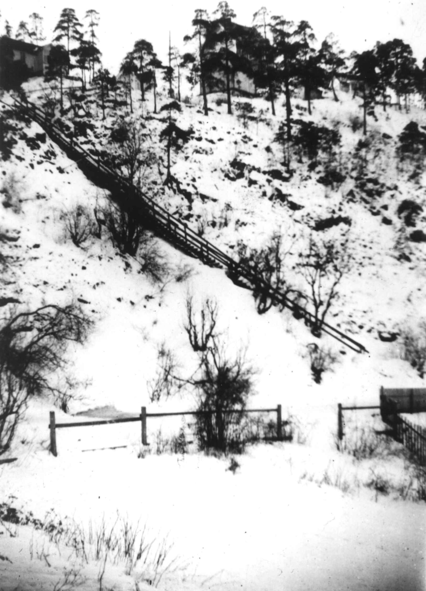 Bakkeskråning med trapp, ant. Oslo.
Fra boliginspektør Nanna Brochs boligundersøkelser i Oslo 1920-årene.