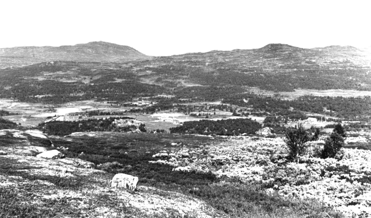 Oversiktsbilde mot Norge fra Volldalshøgda. Rørosbygdene, Røros, Sør-Trøndelag.