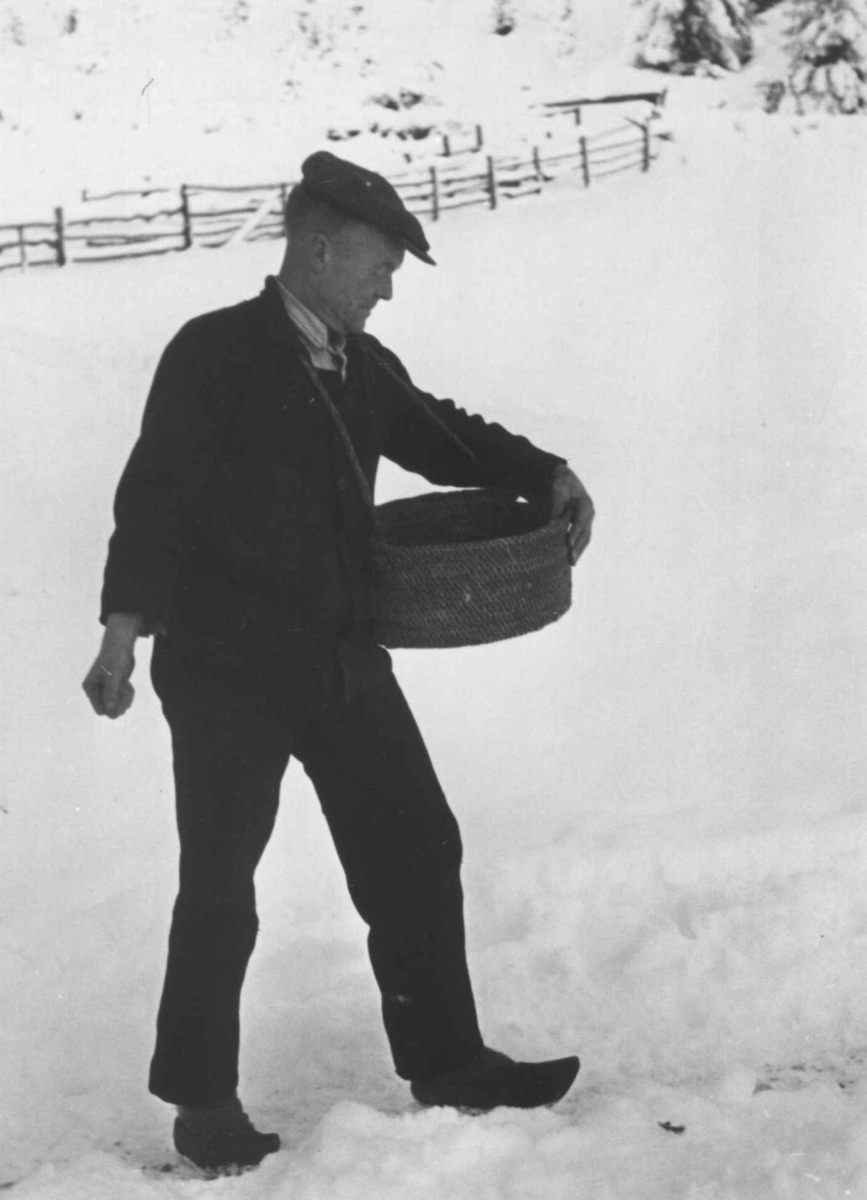 En mann demonstrerer bruken av såkurv til korn. Austagard, Åseral, Vest-Agder 1943. 