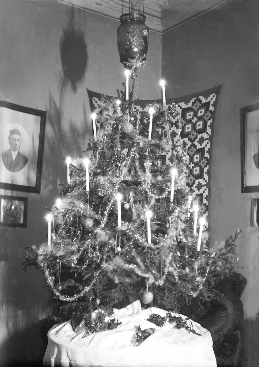 Juletreet er pyntet i boligen på Elverhøy. Portrett av bestefaren pastor Ottessen henger på veggen. Fotografert Julen 1923.