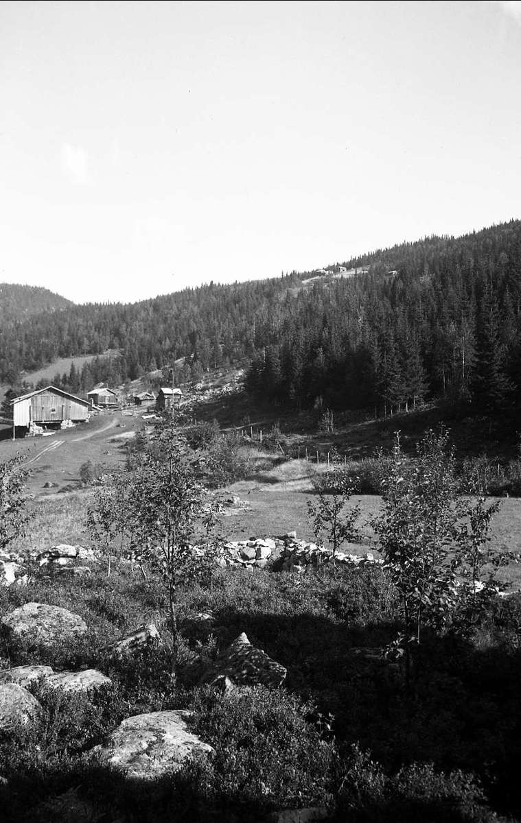 Utsikt mot Sørligarden 1939. Landskap med gårdsanlegg, jorder og skog.