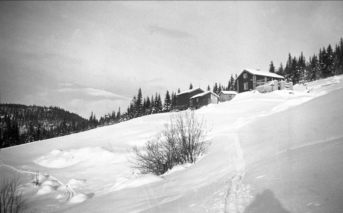 Vintermotiv. Gården Ligardshaugen 1939. Utsikt mot
de snødekte jordene. Gårdsanlegget ses i bakgrunnen.