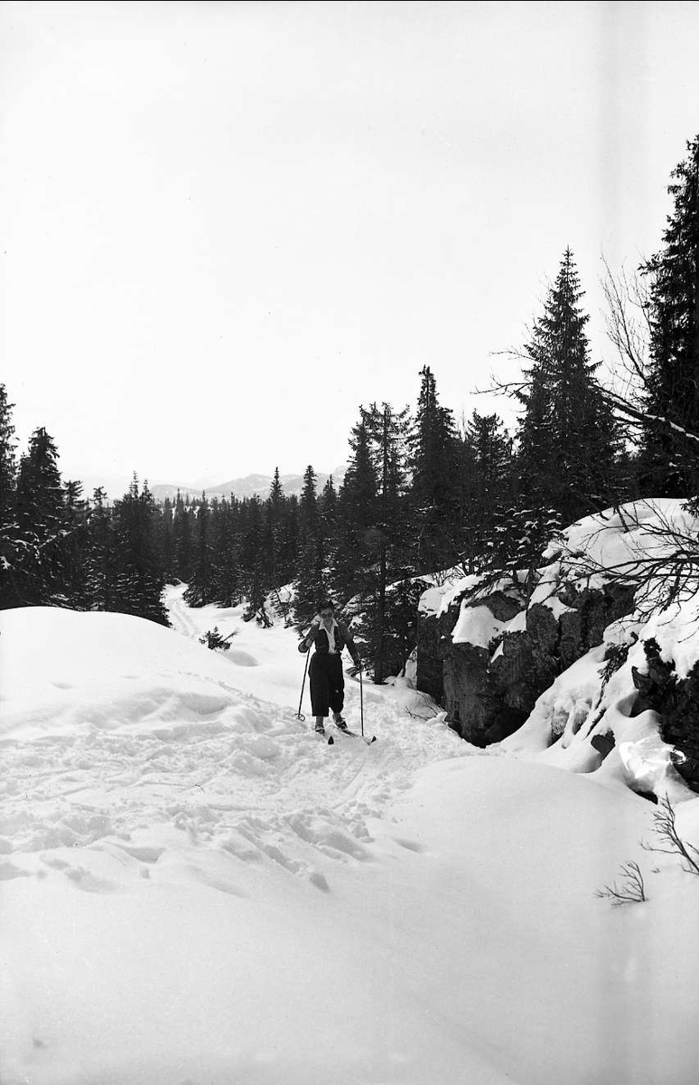 Kvinnelig skiløper på tur langs elva Skodøla. Påsken 1940.