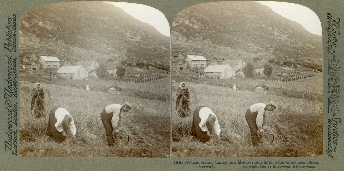 Stereoskopi. Høyonn på Mindresunde gård, Stryn, Sogn og Fjordane. Kvinne og mann med stuttorv, gårdstun med kornstaur i bakgrunnen.