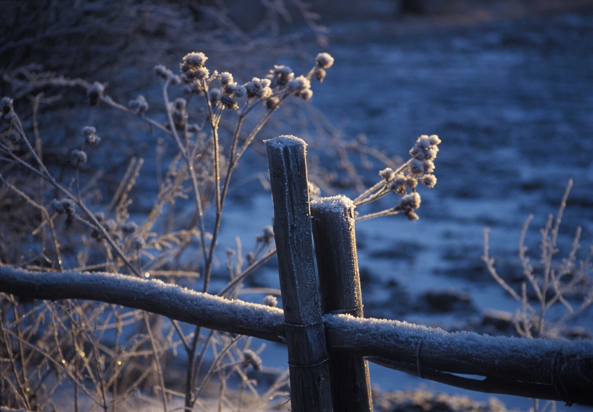 Vinter på Norsk Folkemuseum.
