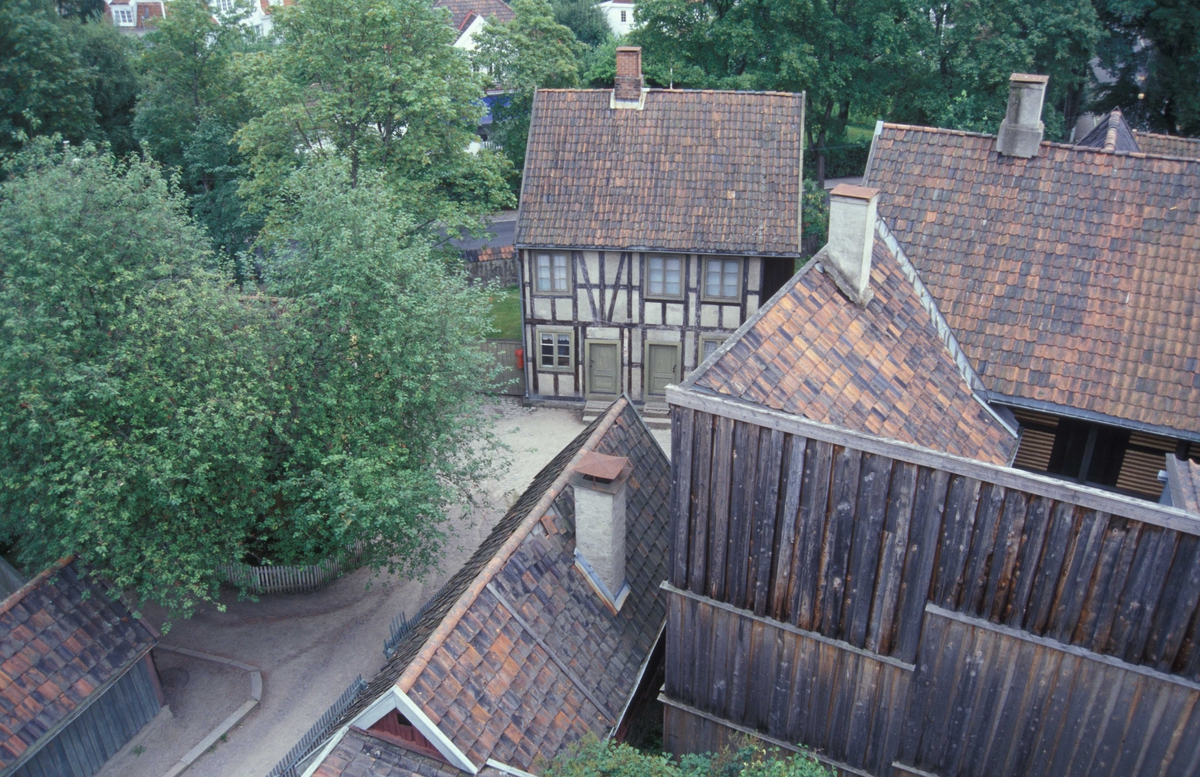 Oversikt over Enerhaugen. Tatt fra toppen av en brannstige august 2002.