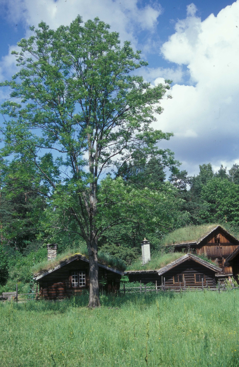 Utsikt mot Numedalstunet på Norsk Folkemuseum