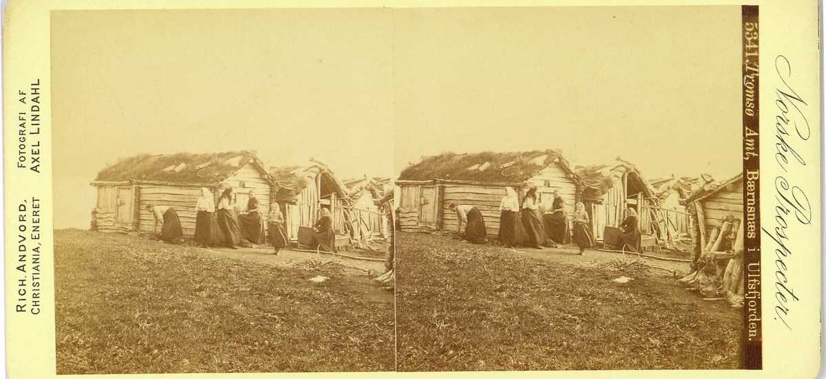 Ved Ullsfjorden, Tromsø eller Lyngen. Muligens fra tettstedet Beinsnes ("Bærnsnæs"), Lyngen. Kvinner i arbeid ved uthus (buer?).
Fra fotograf Axel Lindahls (1841-1906) serie stereofotografier, "Norske Prospecter".