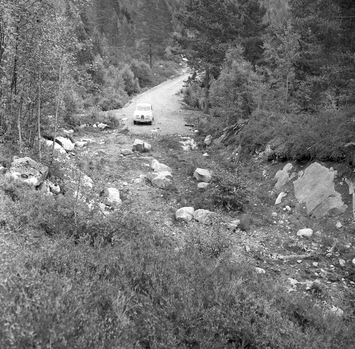 Riksvei 10. Saab parkert på grusvei i skogbevokst område. Fotografert august 1958.