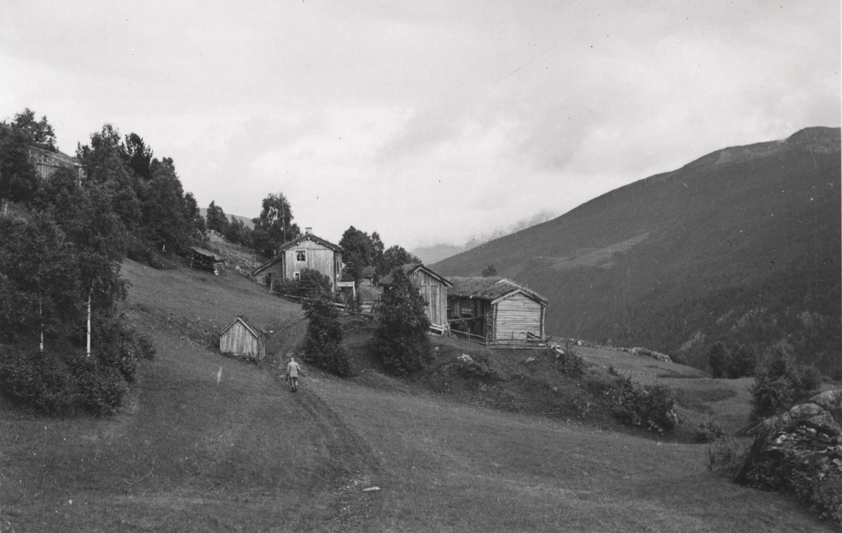 Kletthammer, Klevgardene i Lønset, Sør-Trøndelag.