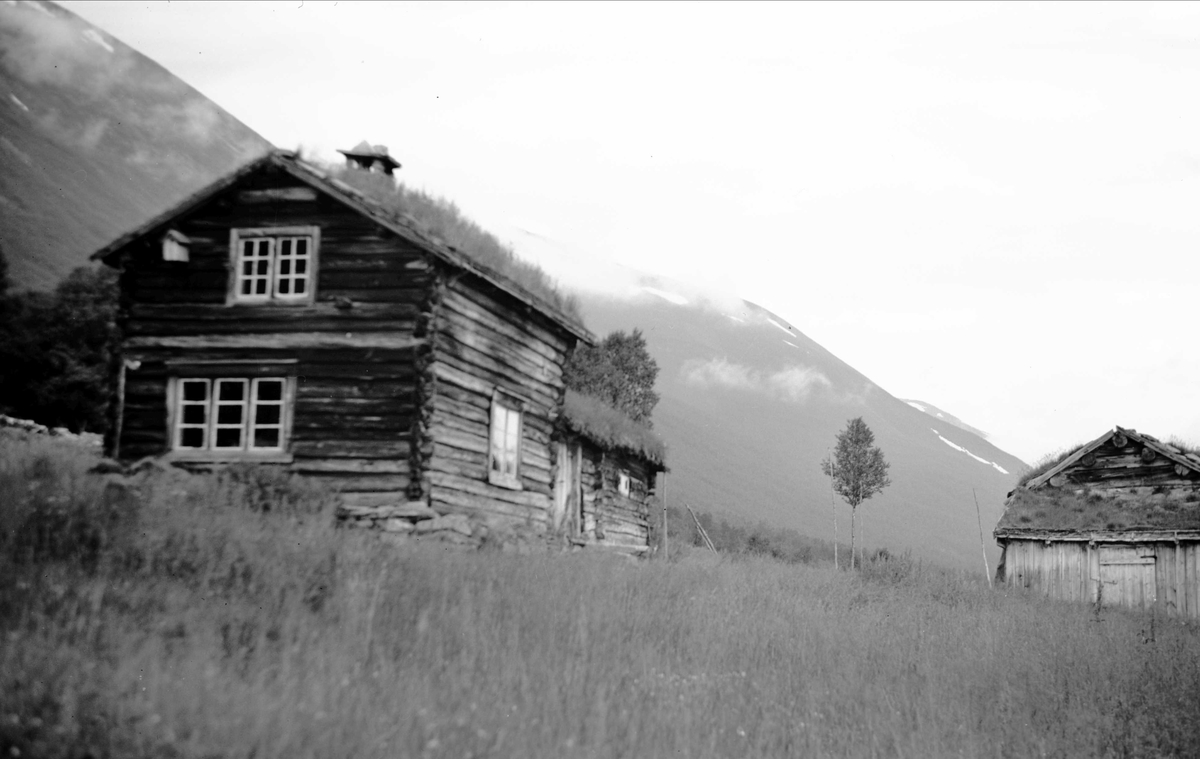 Husmannsplass, Tørset, Lønset, Storlidalen, Oppdal, Sør-Trøndelag. Fotografert 1938. Fra album. 