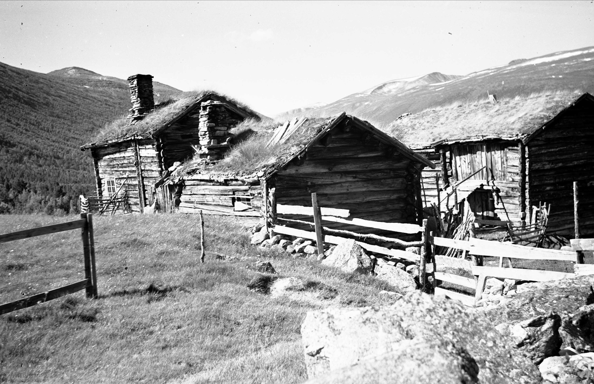 Husmannsplass, Blokkhusmorka, Lønset, Oppdal, Sør-Trøndelag. Fotografert 1940. Fra album. 