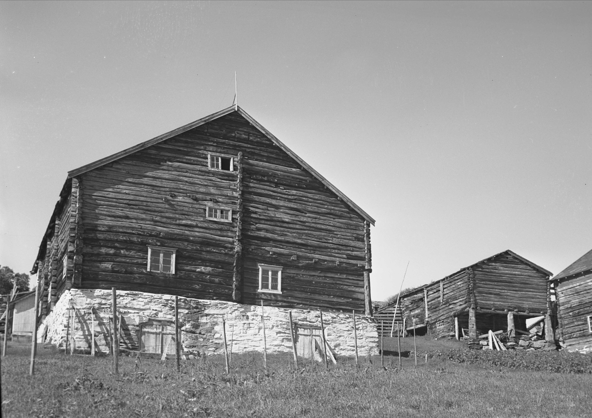 Gårdstun, Forbregd, Drivdalen, Oppdal, Sør-Trøndelag. Fotografert 1938. Fra album. 