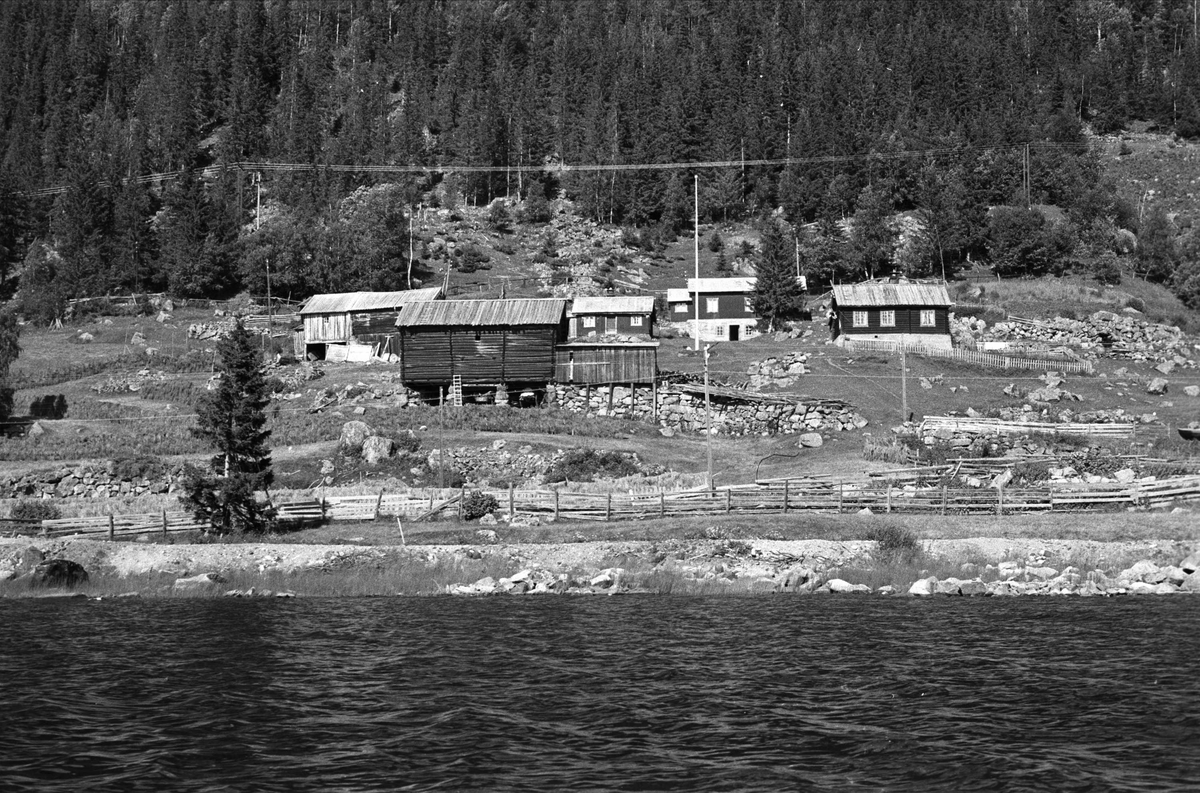 Nedplukking av løe fra Holshagen, Hol i Hallingdal, Buskerud.