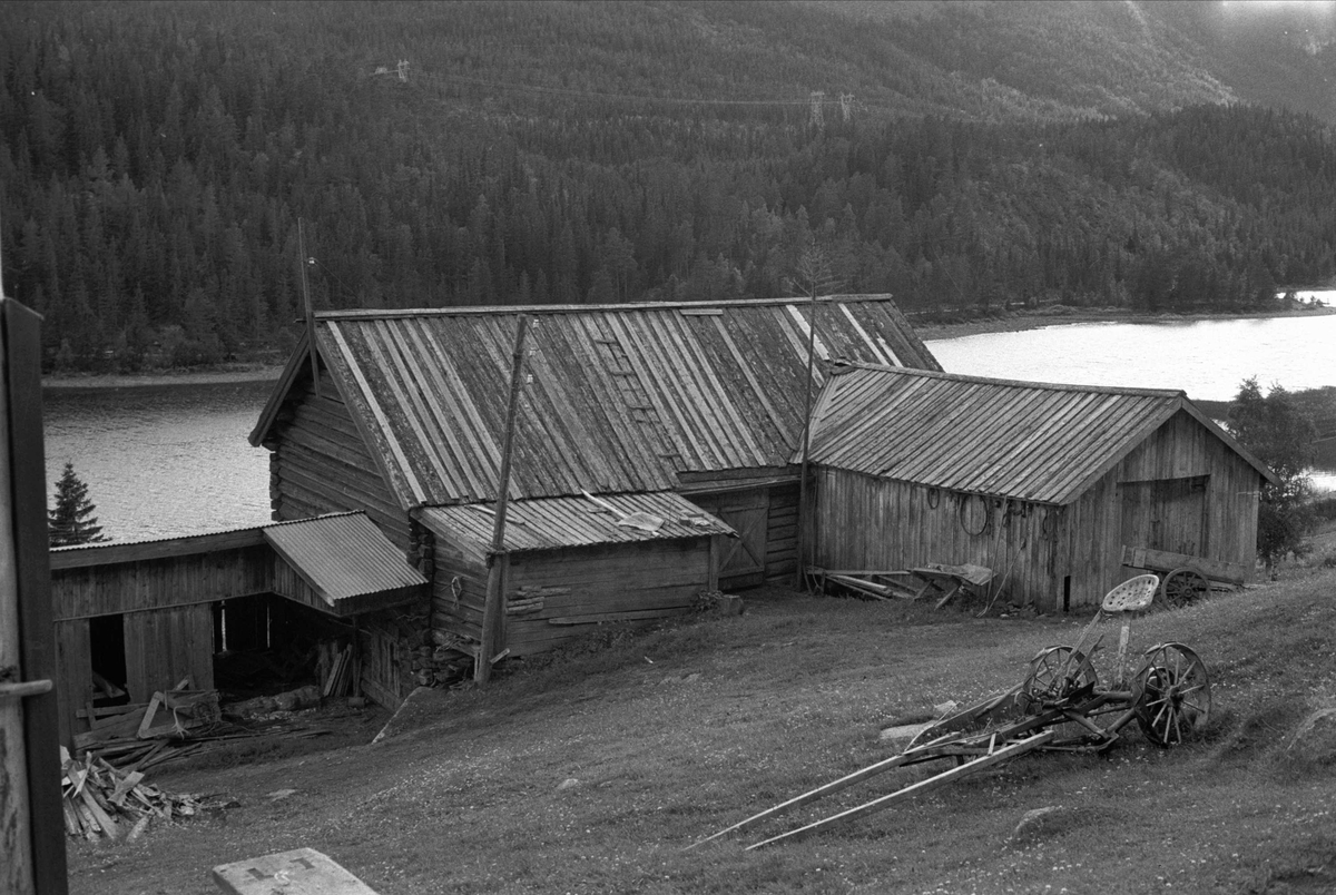 Nedplukking av løe fra Holshagen, Hol i Hallingdal, Buskerud.