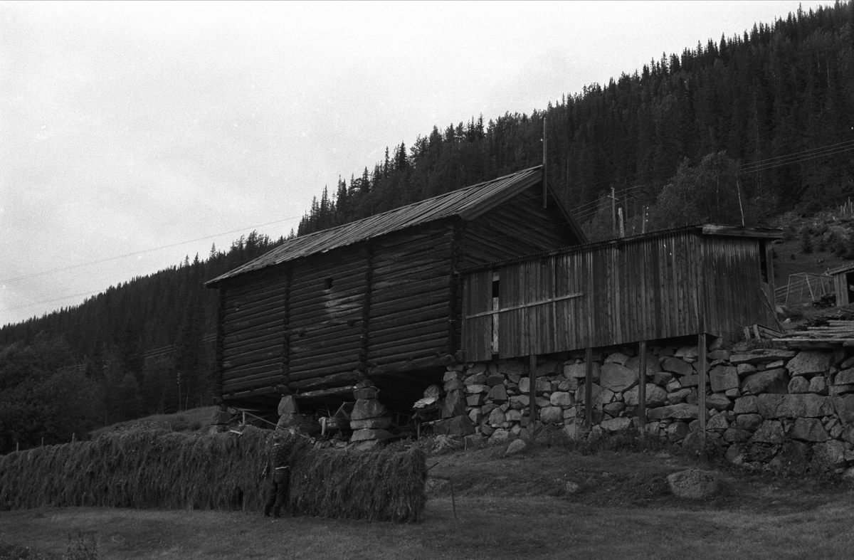 Nedplukking av løe fra Holshagen, Hol i Hallingdal, Buskerud.