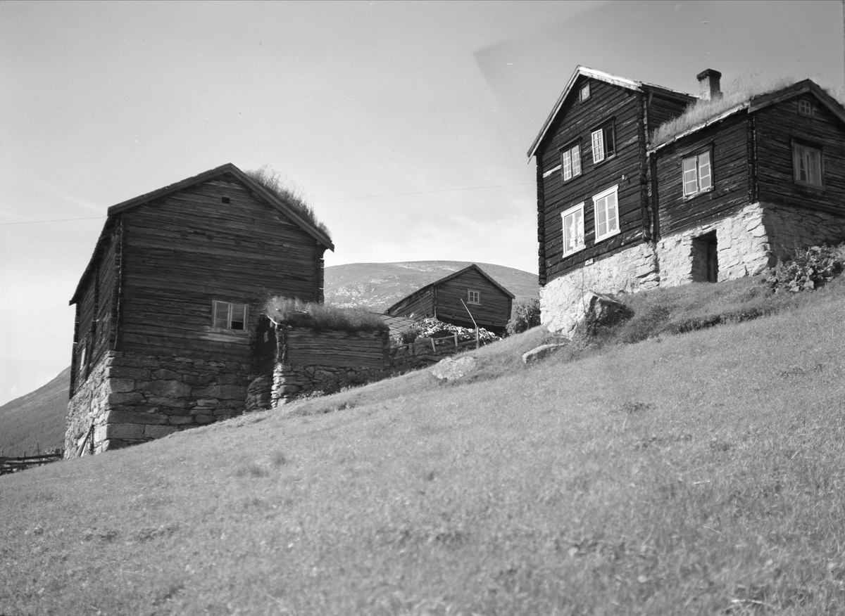 Gårdstun, Fossem, Drivdalen, Oppdal, Sør-Trøndelag. Fotografert 1939. 