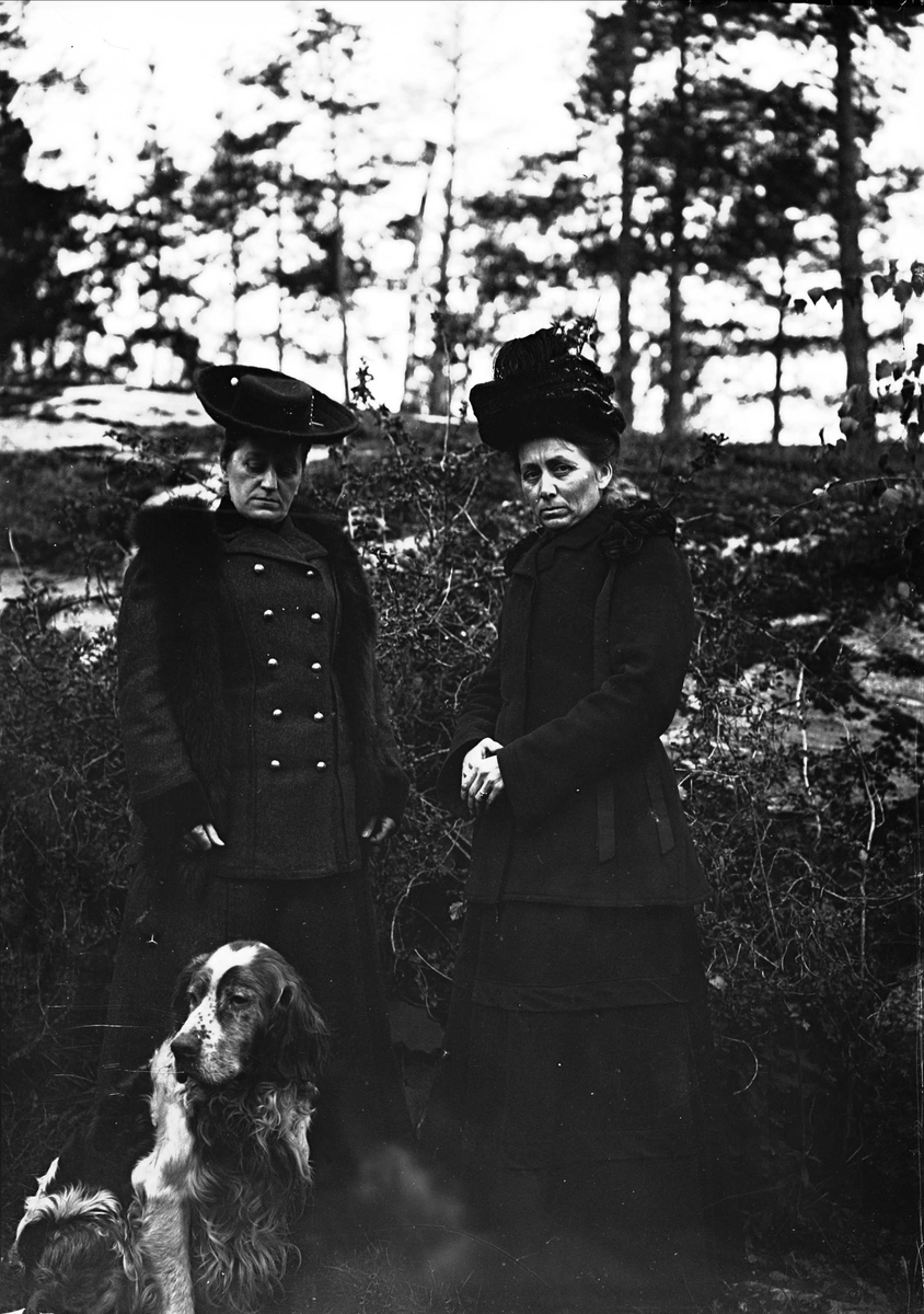 Serie bilder fra Lierbanen og Verdalselva bru i Verdal (1904). Familieliv, antagelig familien Lund ca 1900.