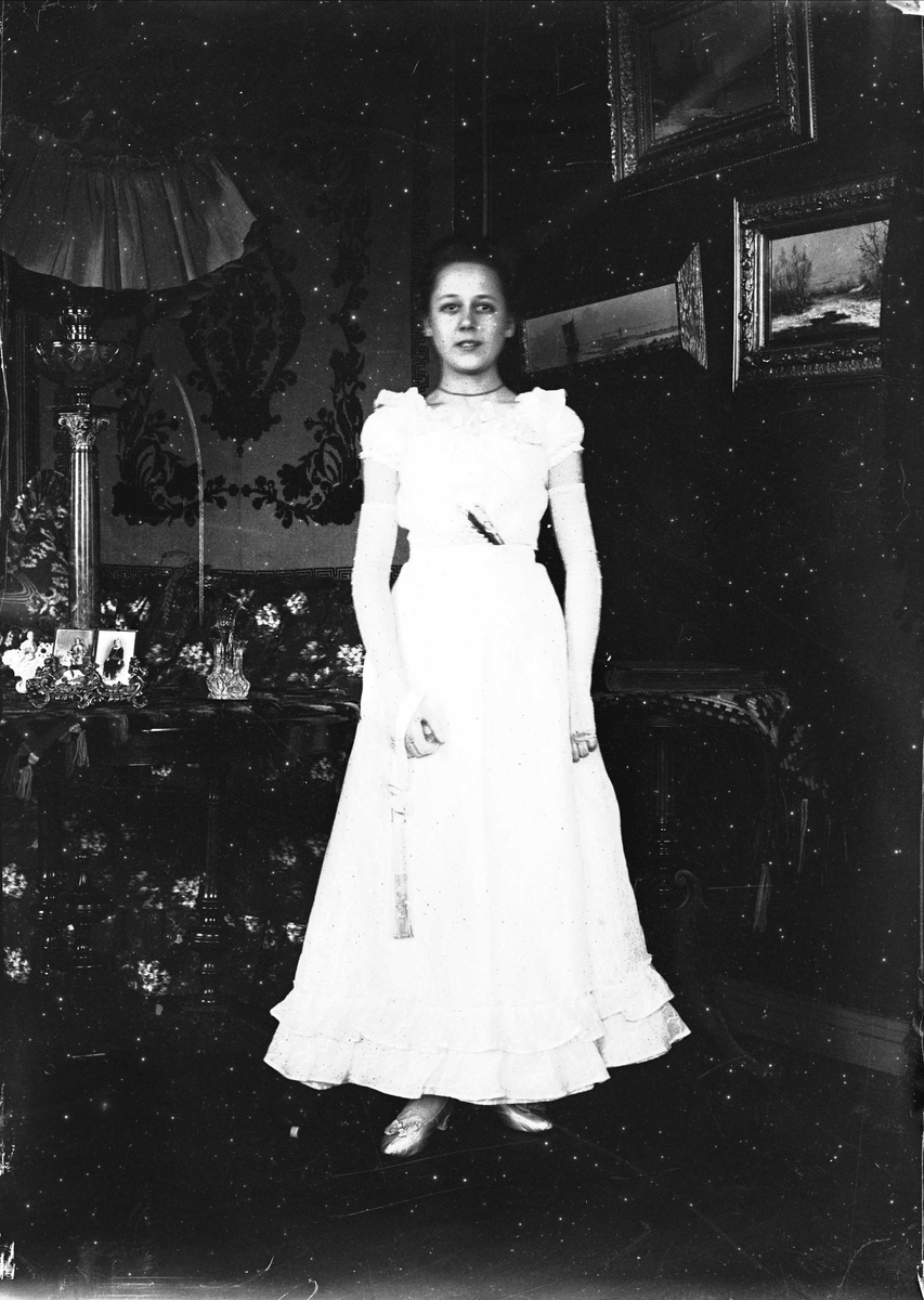 Serie bilder fra Lierbanen og Verdalselva bru i Verdal (1904). Familieliv, antagelig familien Lund ca 1900.