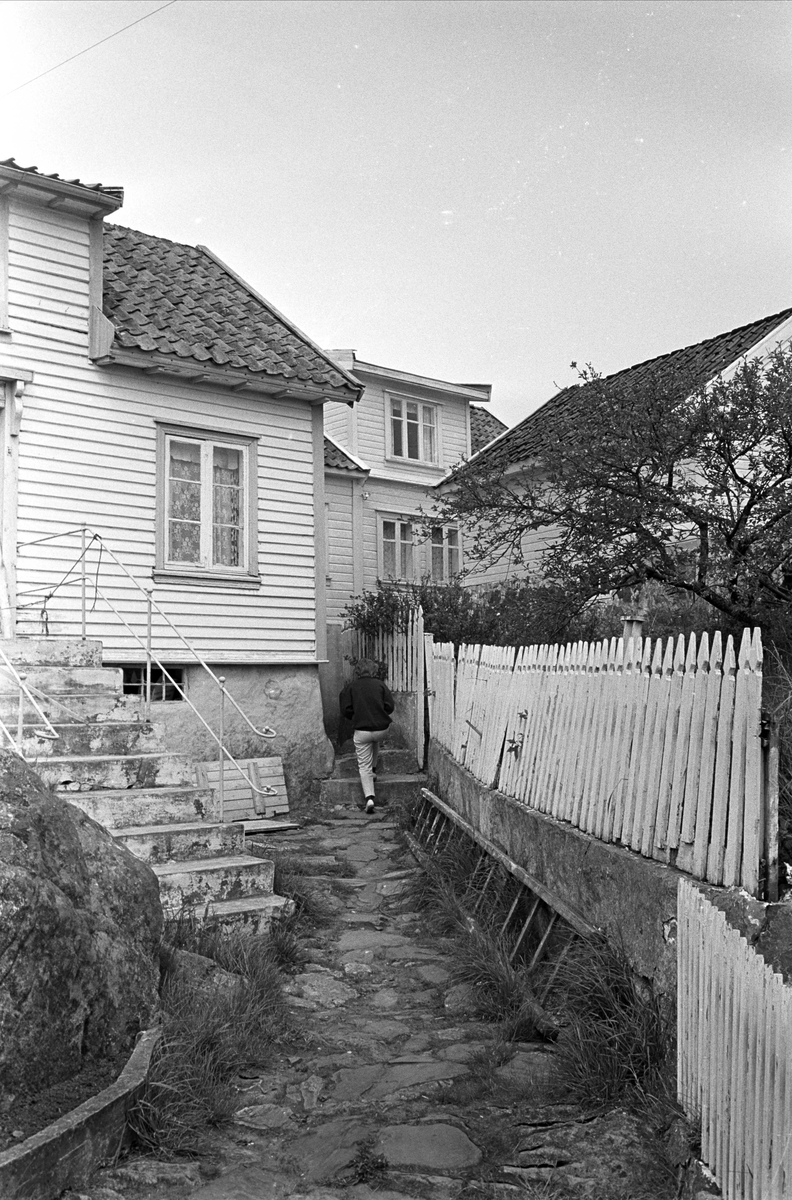 Serie. Sørlandet. Bebyggelse og landskap mellom Lista og Flekkefjord, Vest-Agder.