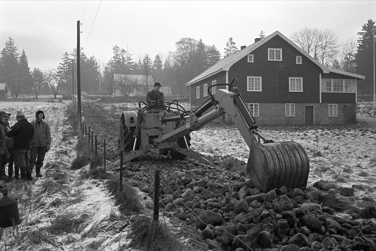 Serie. Hus og strender på Jomfruland, Kragerø, Telemark. Fotografert des. 1963.