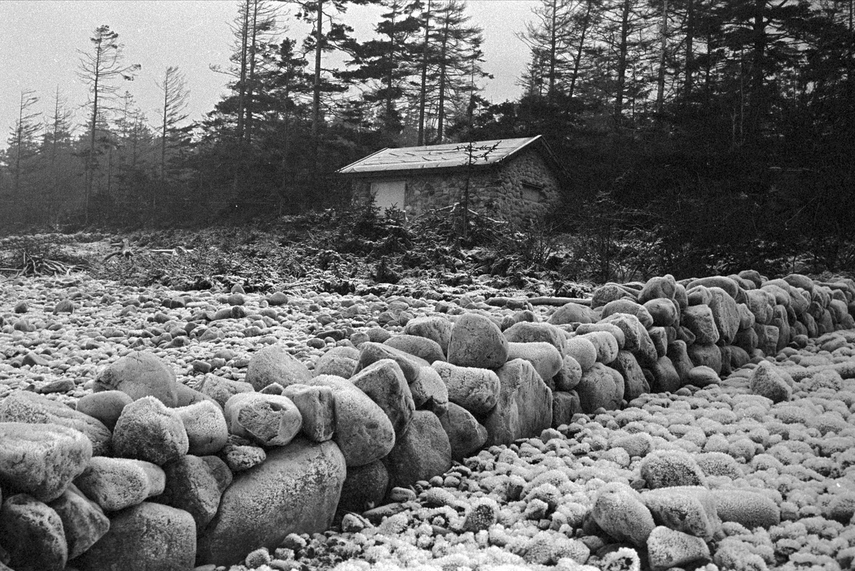 Serie. Hus og strender på Jomfruland, Kragerø, Telemark. Fotografert des. 1963.