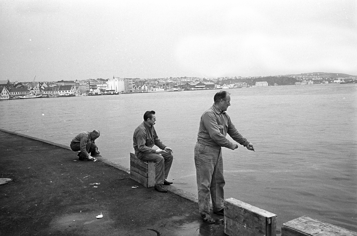 Serie. Fabrikkarbeidere og fabrikasjon på Bjelland Fabrikker, Stavanger. Fotografert aug. 1965. 
