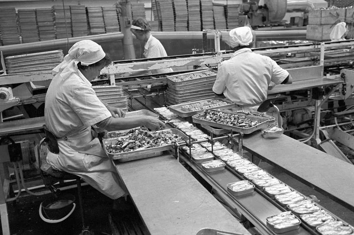 Serie. Fabrikkarbeidere og fabrikasjon på Bjelland Fabrikker, Stavanger. Fotografert aug. 1965. 