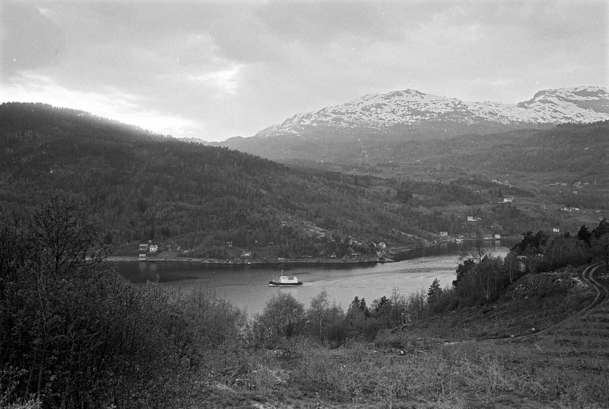 Serie. Hjeltnes hagebruksskole, Ulvik, Hordaland. Fotografert mai 1965.