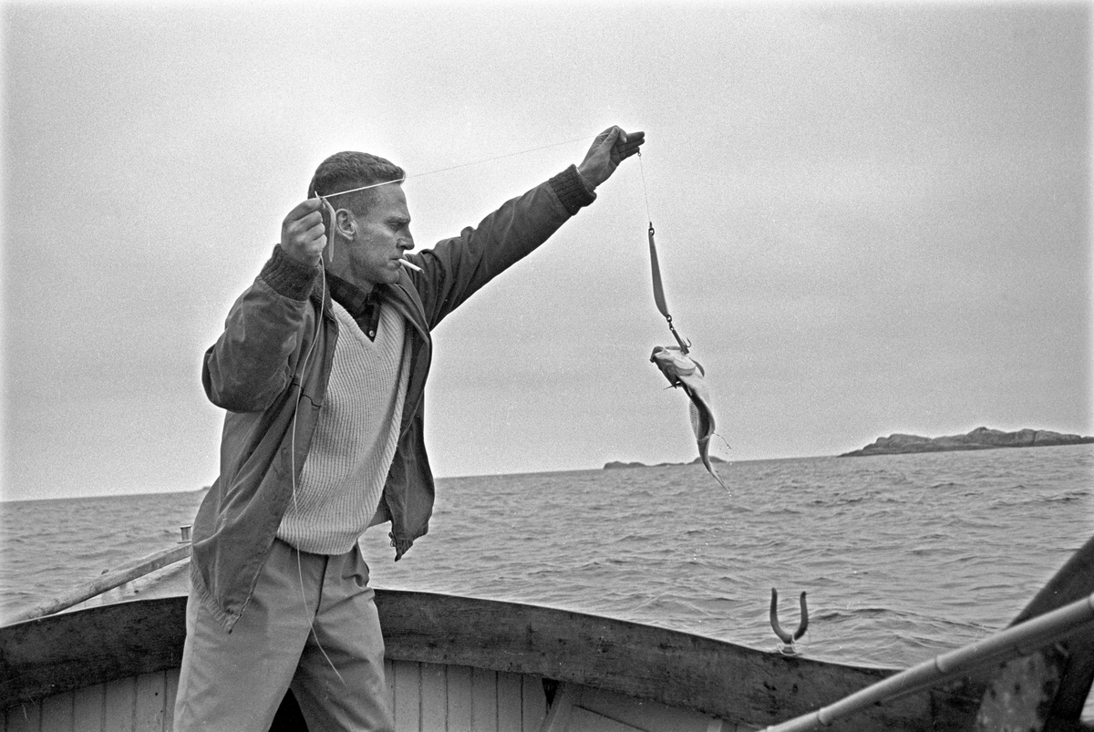 Serie. Dagbladets fiskekonkurranse "Gullfisk" i Mandal, Vest-Agder. Fotografert 1967.